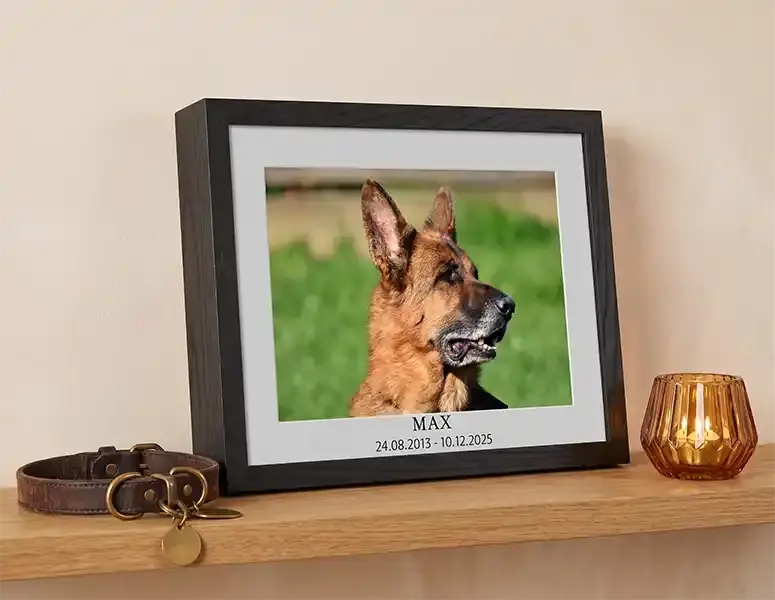 Pet urn for dogs with a shelf for a collar